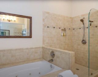 Primary bath tub and shower